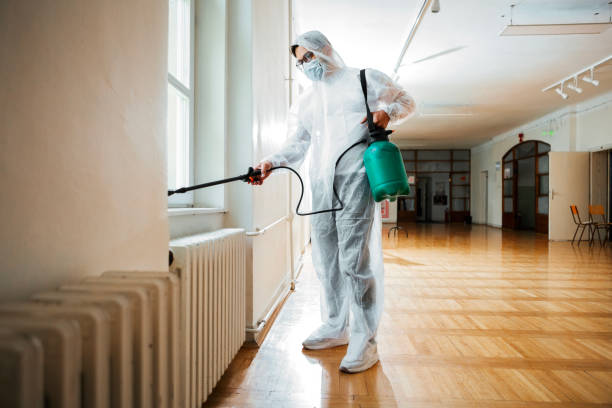 Emergency Pest Control Services in Jacinto City, TX